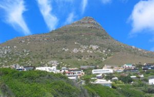 llandudno_little_lions_head