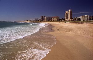 port-elizabeth