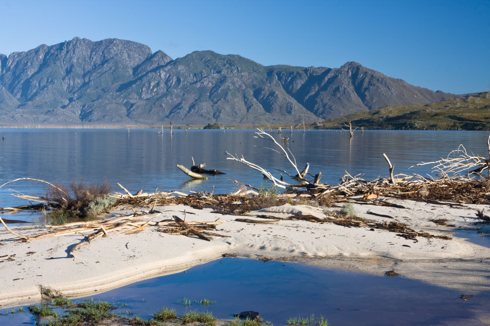 Treibholz am Ufer des Theewaterskloof-Stausees vor den Bergen
