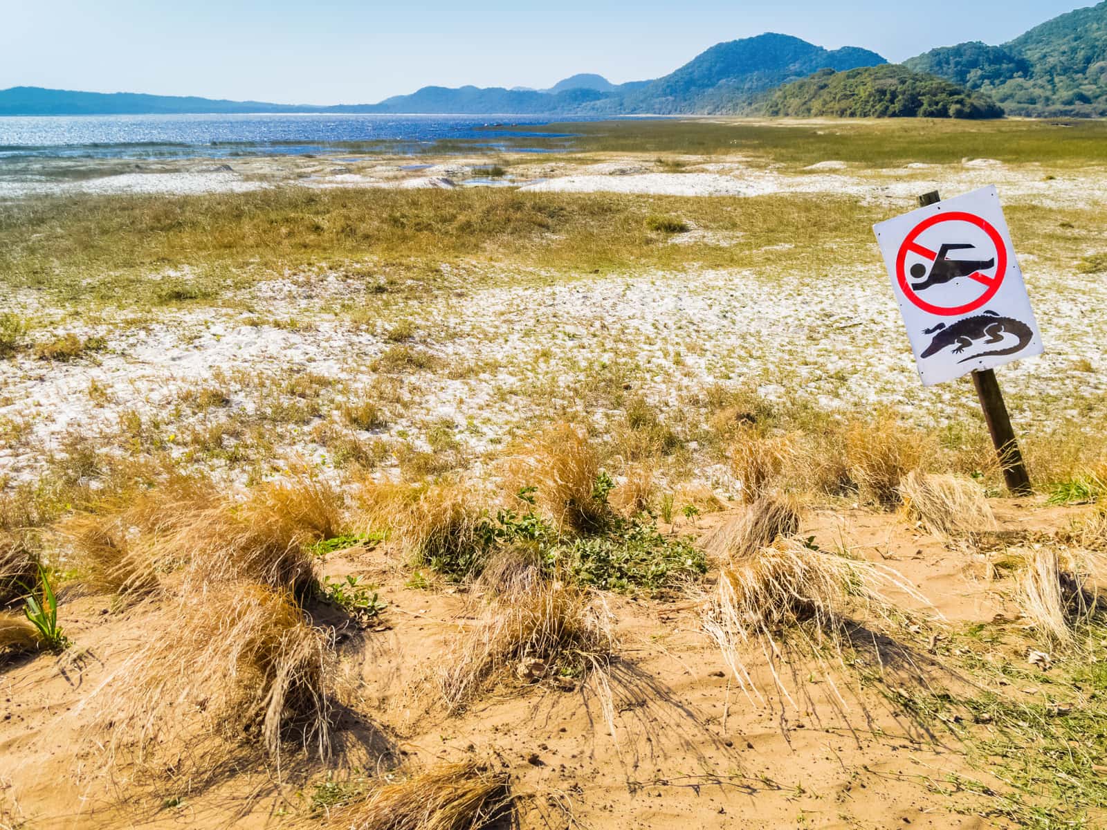 Schild mit Badeverbot und Krokodilwarnung am Ufer
