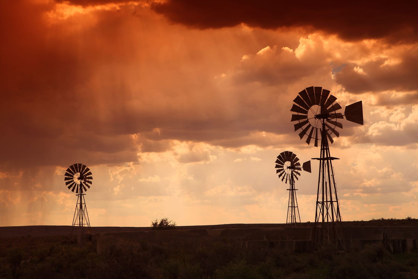 Windpumpen vor einem aufziehenden Gewitter in der Karoo