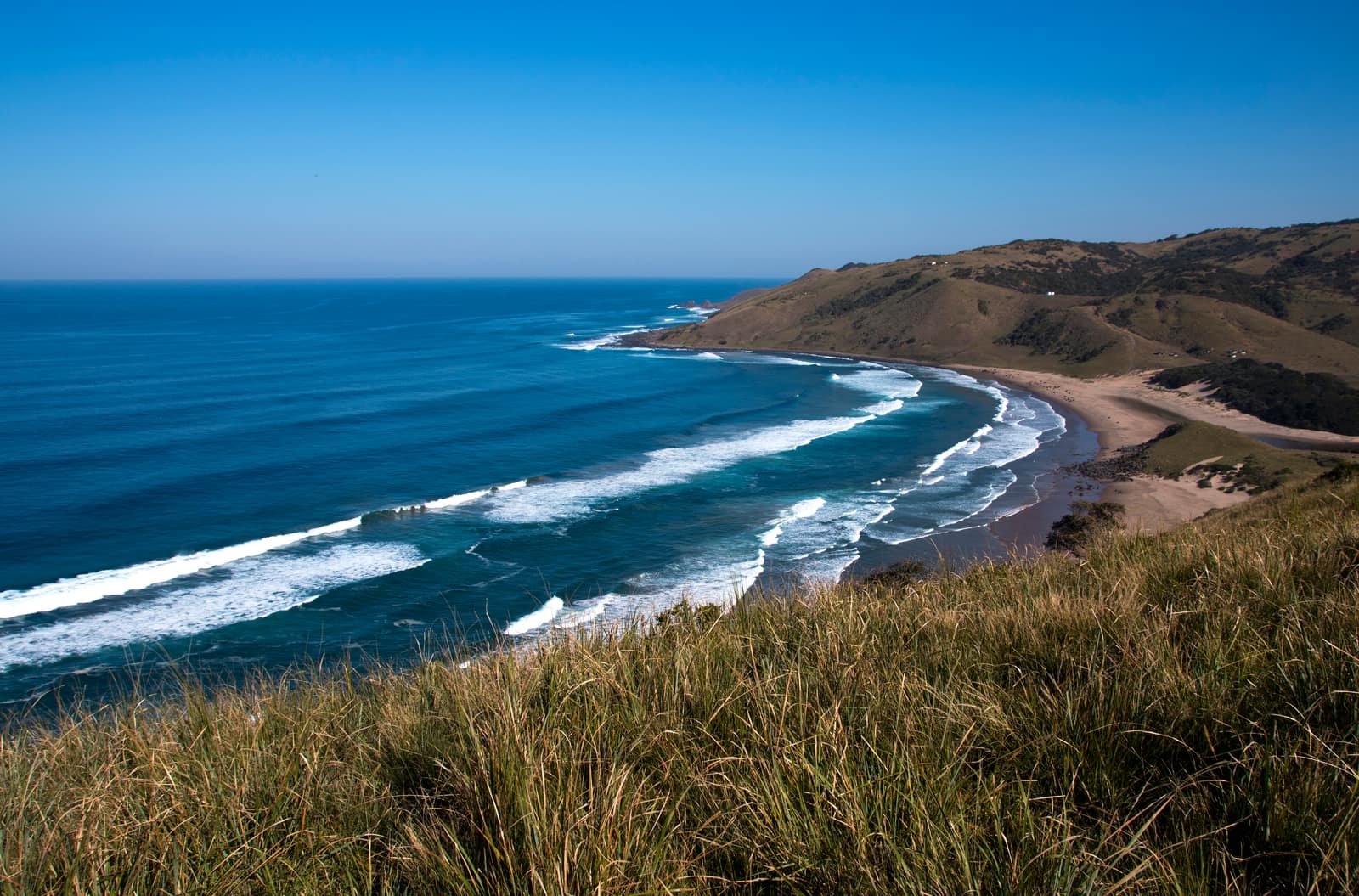 Grüne Klippen über einer Bucht an der Wild Coast