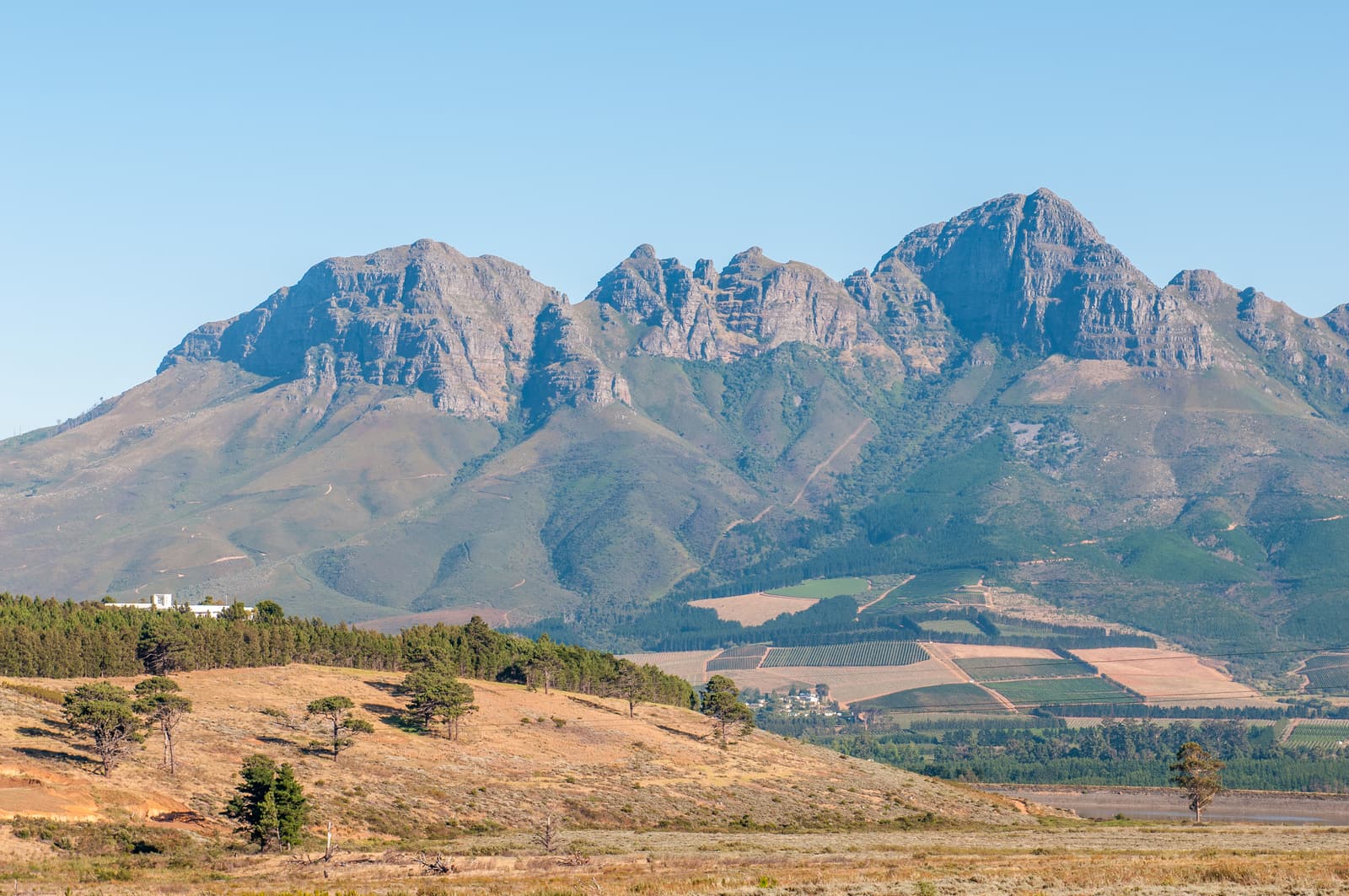 Der Helderberg über Weinbergen bei Somerset West
