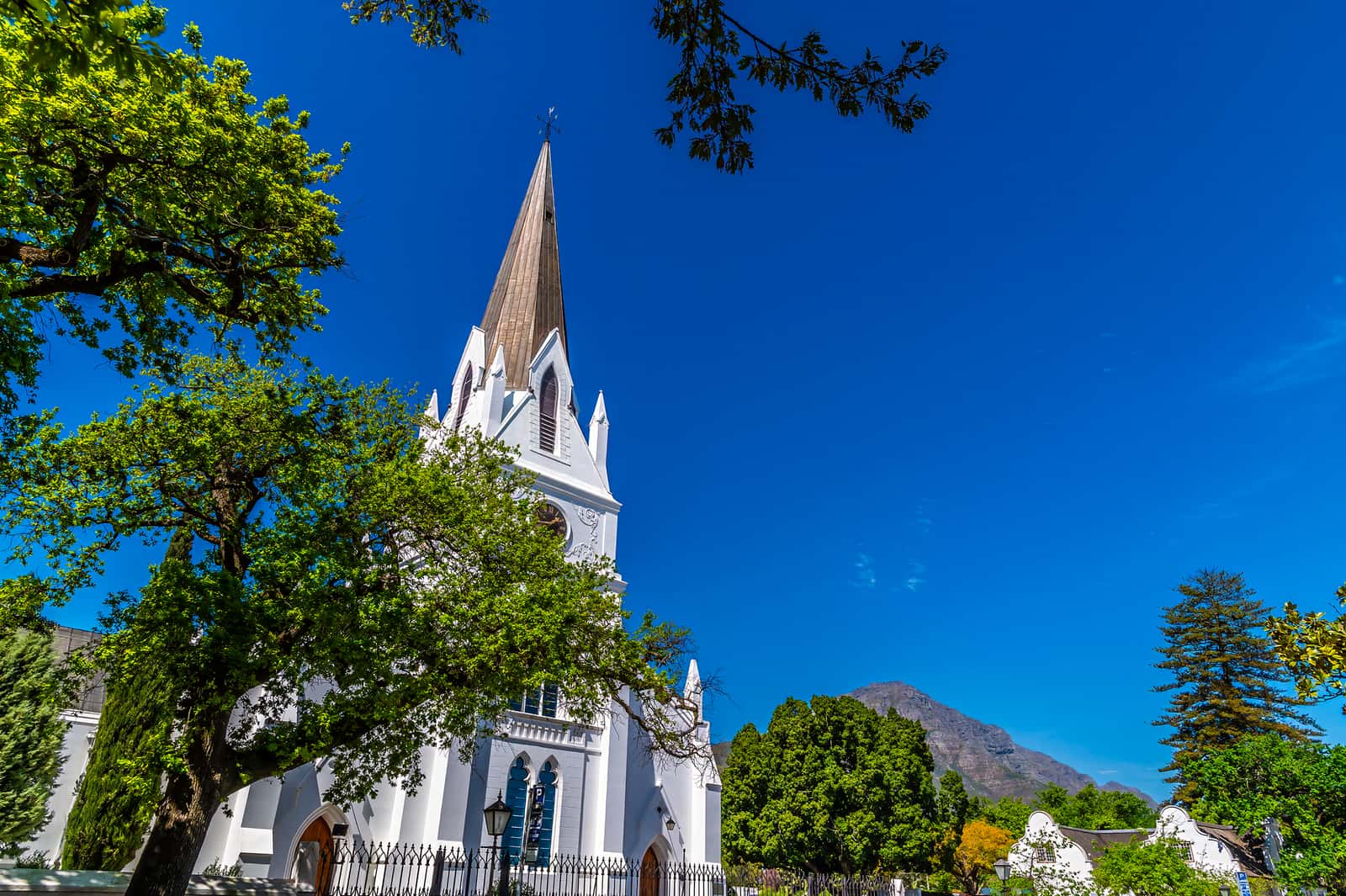 Die weiße Moederkerk in Stellenbosch zwischen Bäumen