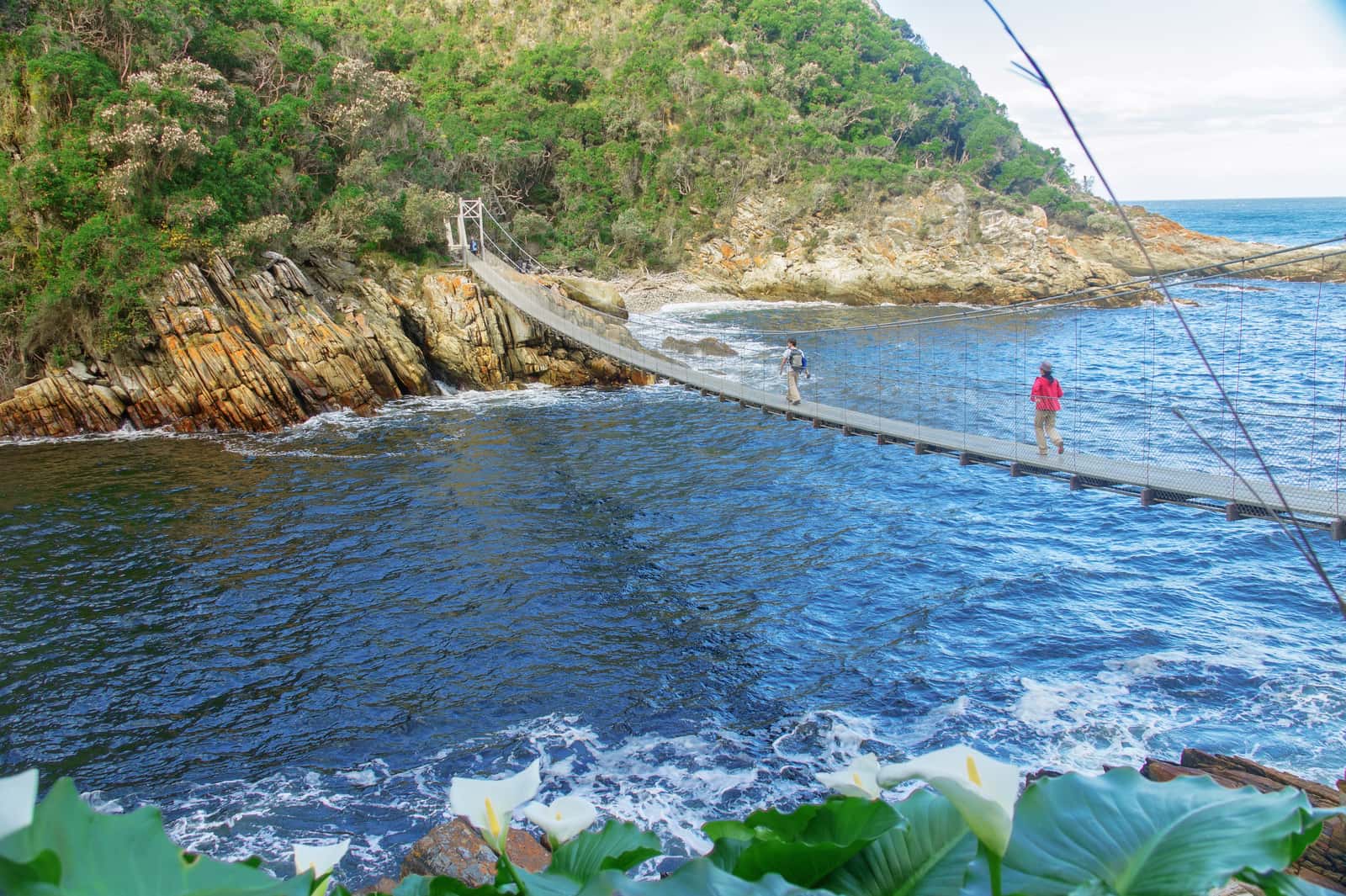 Hängebrücke über der Mündung des Storms River