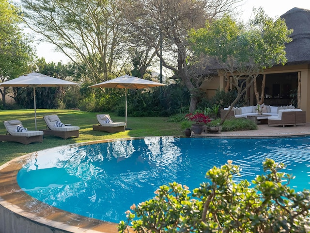 Thanda Safari