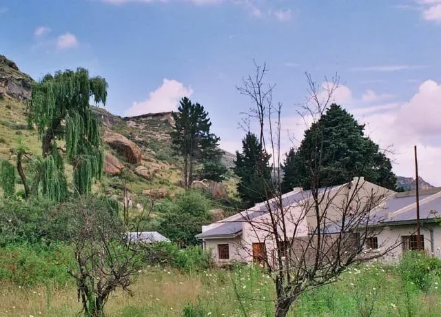 Aspen Guest House