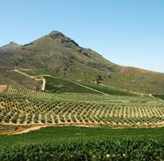 Franschhoek