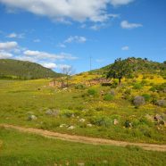 Ramskop Nature Reserve